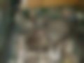 Pictures — R9 1.4