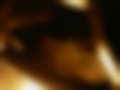 Pictures — Clio 1.2