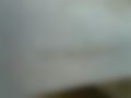Pictures — D20