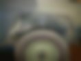 Fotografias — G 250