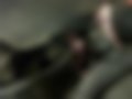 Bilder — Truck 1.9D