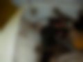Pictures — 311 1.0