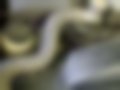 Pictures — FX45 4.5