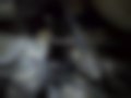 Pictures — Hilux 2.4D