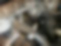 Pictures — 740 2.4 D