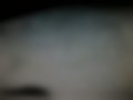 Pictures — 740 2.4 D