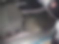 Bilder — Primera 1.8