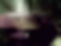 Bilder — Primera 1.8