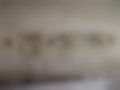 Pictures — 2101 1.2