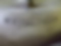 Bilder — Fiesta Van 1.4 TDCi