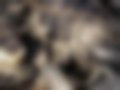 Slike — Armada 5.6 V8