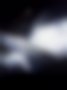Pictures — Partner 1.4