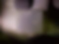 Fotografias — 618 Si