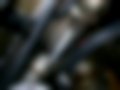 Bilder — Gazelle 33021