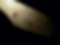 Pictures — M5 3.6 E34