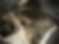 Bilder — Pregio 2.7 D