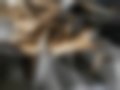 Pictures — Mégane II 1.4