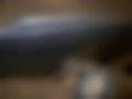 Fotografias — Charade 1.3 16V