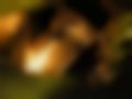 Fotografias — Charade 1.3 16V