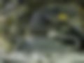 Pictures — 190 E 2.0