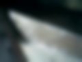 Pictures — 190 E 2.0