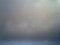 Pictures — Focus 1.8 TDCi