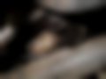 Pictures — Clio 1.1