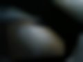Pictures — 147 1.6 TS