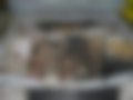 Pictures — 2141 1.7