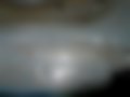 Pictures — 2141 1.7