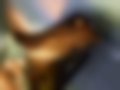 Pictures — Golf V Plus 1.6