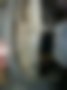 Pictures — Gazella 33021 2.4 TD