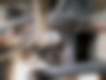 Pictures — AX 1.4 D