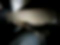 Pictures — Omega B 3.0 V6