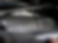 Fotografias — Cezet 350