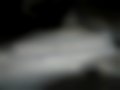 Slike — XT125R