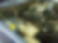 Pictures — 244 2.3