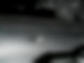 Pictures — CBR1100XX