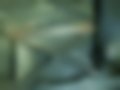 Imágenes — G 320