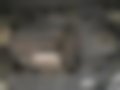 Immagini — Focus 1.8