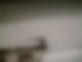 Pictures — 105 S