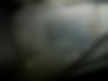 Galeria — Previa 2.4 VVTi