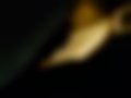 Pictures — Corolla 1.8