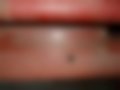 Pictures — Daily 50 C 13 2.8 D