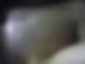Pictures — A3 1.6