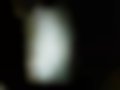 Pictures — 146 1.6