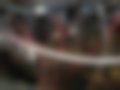 Galeria — 309 1.3