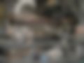 Pictures — LT 35 2.4