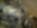 Imágenes — V-Rod