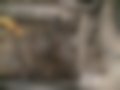 Galeria — Fabia 1.4 TDI